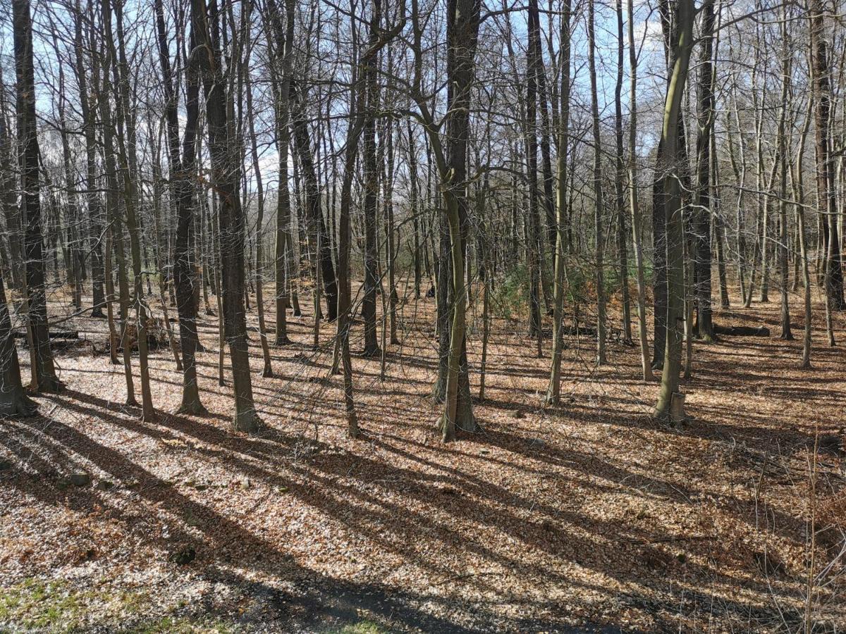 Gaestehaus Vergissmeinnicht Guteborn Bagian luar foto