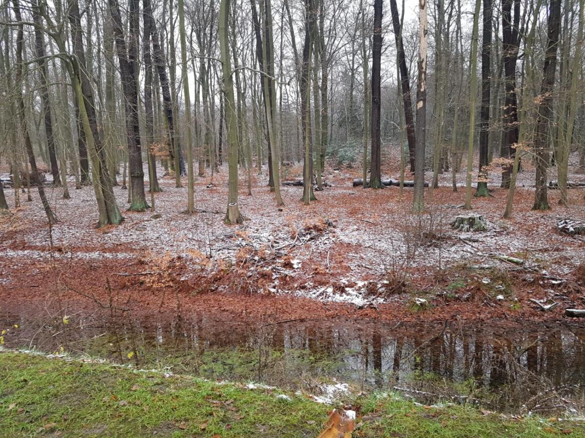 Gaestehaus Vergissmeinnicht Guteborn Bagian luar foto