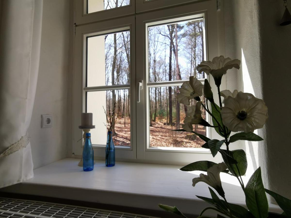 Gaestehaus Vergissmeinnicht Guteborn Bagian luar foto